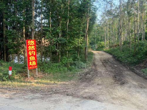 悠然钓鱼场钓点与钓场环境照片
