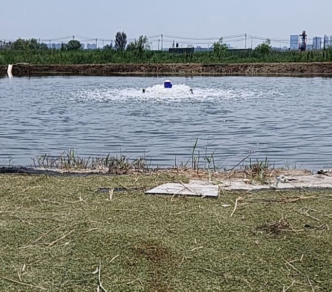 建林垂钓园钓点与钓场环境照片