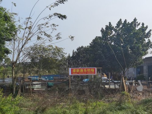 潭新渔乐钓场钓场环境照片