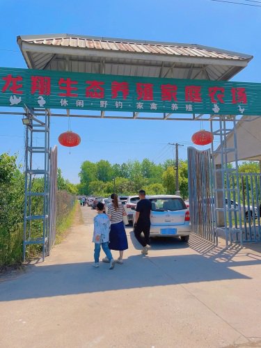 龙翔生态养殖家庭农场钓场环境照片