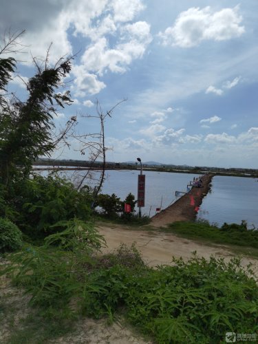 海益钓场钓点与钓场环境照片
