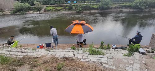 周家夼垂钓园钓点与钓场环境照片