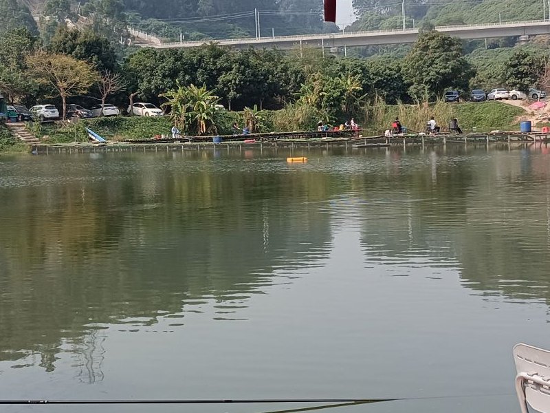 东深钓场钓点与钓场环境照片