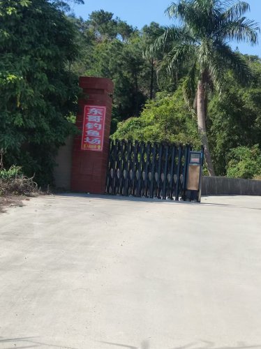 东哥钓鱼场钓点与钓场环境照片