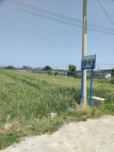 老徐鱼塘钓场环境照片