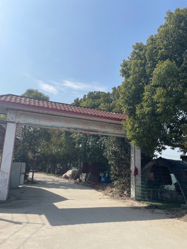 方泰绿基垂钓园钓点与钓场环境照片