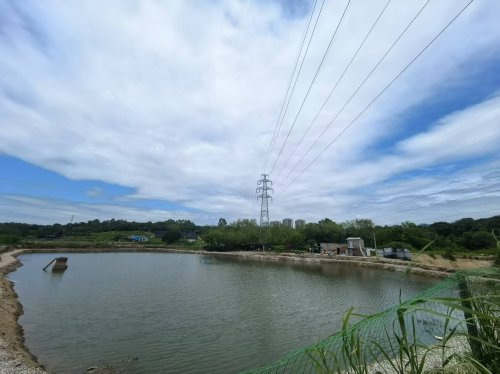 渔乐湾休闲钓场钓场环境照片