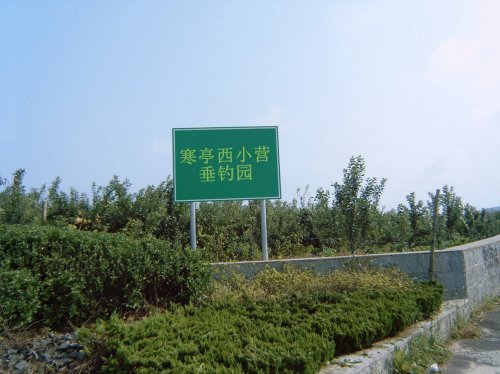 西小营垂钓园钓点与钓场环境照片