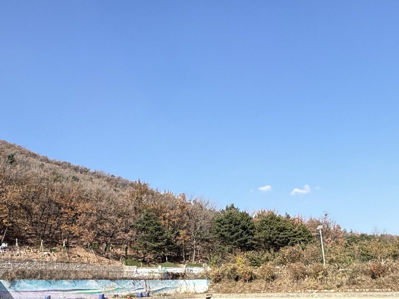 松岚山庄垂钓园钓场环境照片