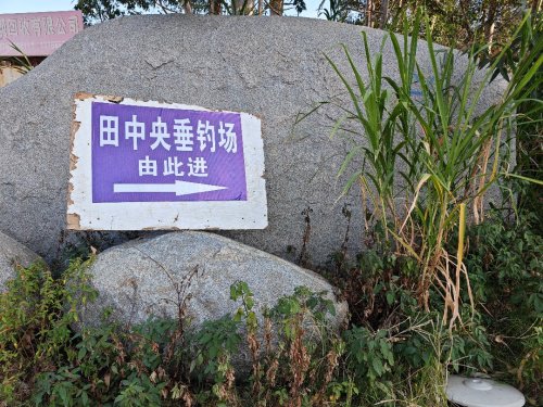 田中央休闲垂钓园钓场环境照片