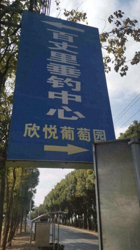 文林百丈渔航垂钓中心钓场环境照片