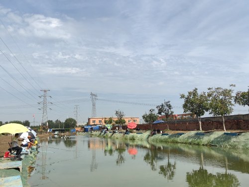 三哥钓场钓点与钓场环境照片