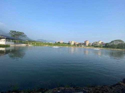 四会渔乐垂钓休闲农场钓场环境照片