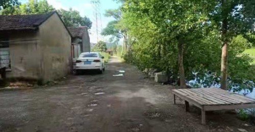 康涵垂钓园钓点与钓场环境照片