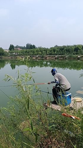 大海鱼塘钓点与钓场环境照片