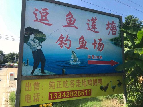 莲塘逗鱼钓鱼场钓点与钓场环境照片
