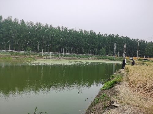 多多打黑基地钓场钓场环境照片