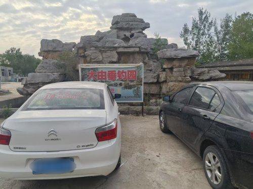 大由井福垂钓园钓点与钓场环境照片