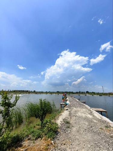 丰南区半野草堂垂钓园钓场环境照片