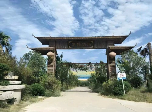 迪佳钓场钓场环境照片