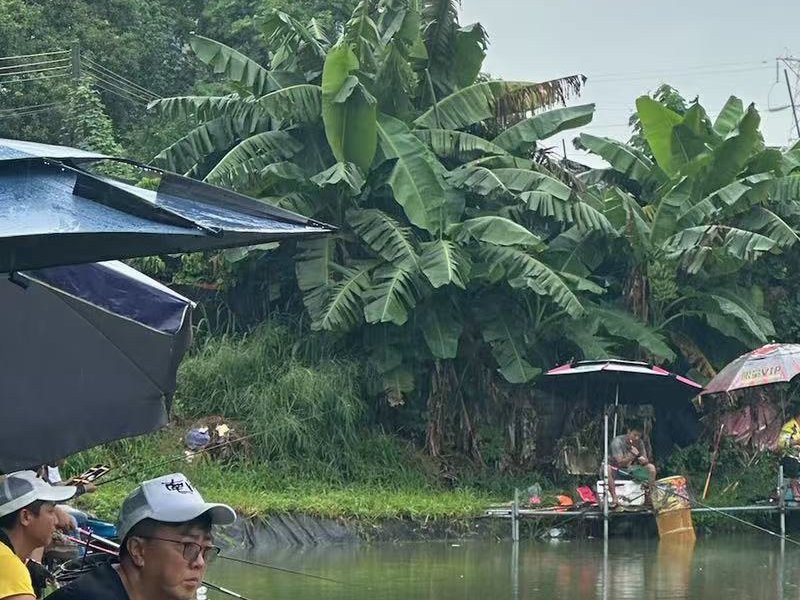 夫子钓鱼场钓点与钓场环境照片