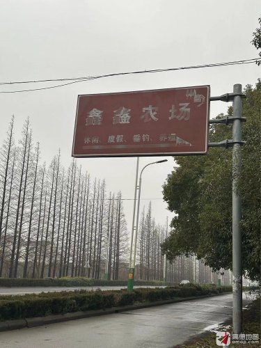 鑫鑫农庄休闲垂钓钓场环境照片