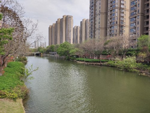 吕才庄河绿道垂钓平台钓场环境缩略图