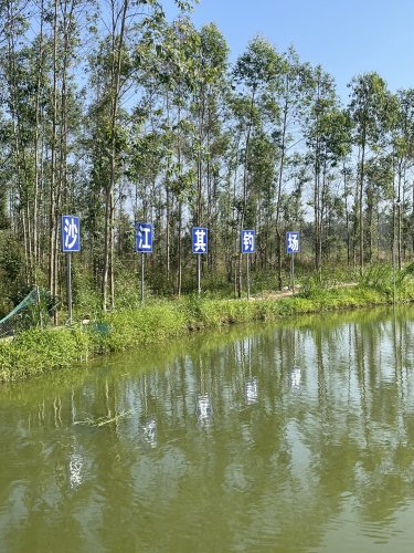 沙江其钓场钓场环境照片