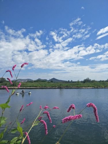大旺垂钓园钓场环境照片