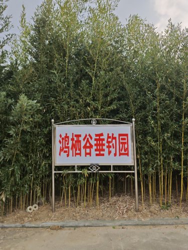 鸿栖谷垂钓园钓点与钓场环境照片
