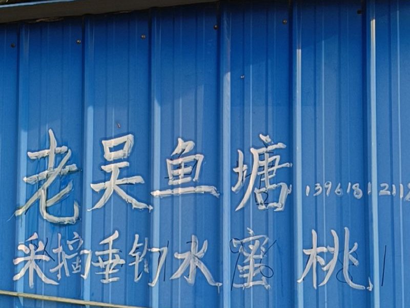 老吴垂钓果园小菜园钓场环境照片