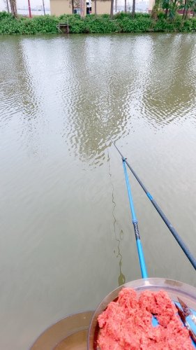 三板兄弟钓鱼场钓场环境照片