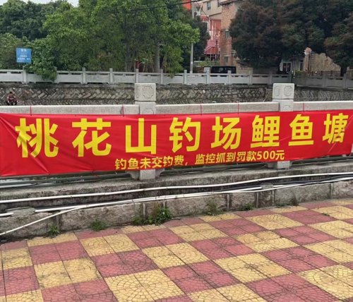 桃花山钓场鲤鱼塘(2号鲤鱼塘)钓场环境照片