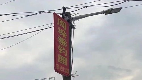 周垛垂钓园钓场环境照片