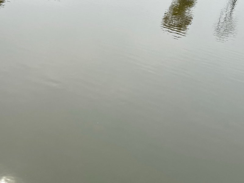 谷丰仔钓场钓场环境照片