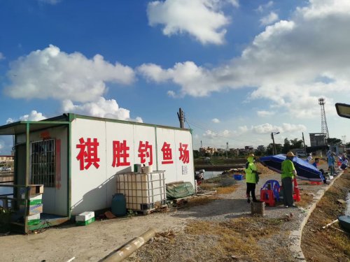 祺胜钓鱼场钓点与钓场环境照片