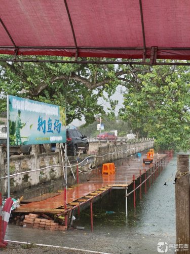 龙武休闲钓鱼场钓场环境照片
