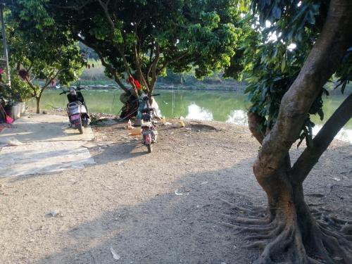 新乡荔枝园钓鱼台钓点与钓场环境照片