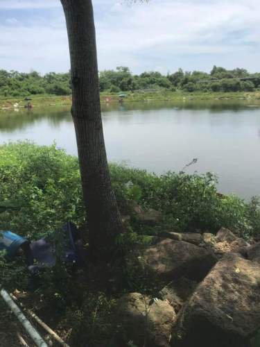 聚贤垂钓休闲中心钓场环境照片