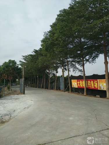 大稳绿道钓鱼场钓点与钓场环境照片