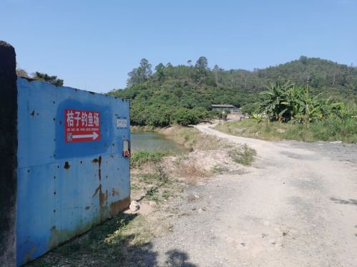 桔子钓鱼场钓点与钓场环境照片