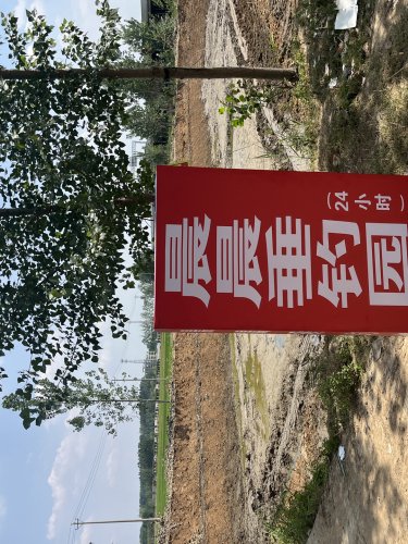 晨晨垂钓园钓点与钓场环境照片