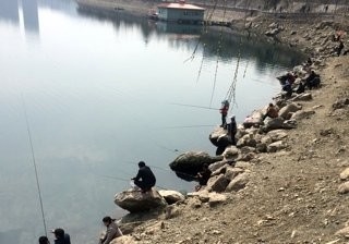 千岛湖一家山水钓点与钓场环境照片
