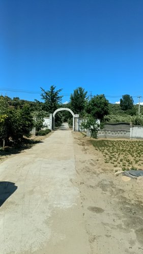 永跃休闲垂钓园钓场环境照片