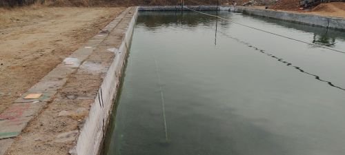 阳光花园垂钓大棚钓场环境照片