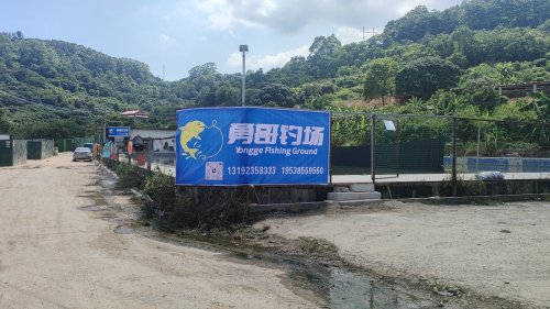 勇哥钓场钓场环境照片