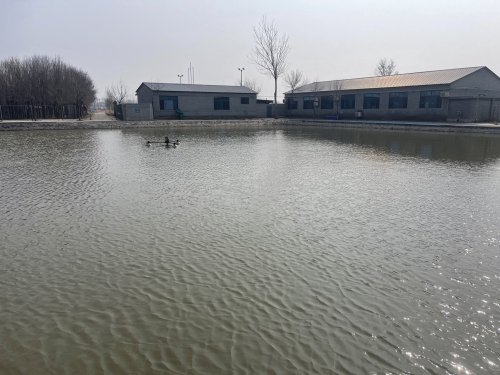 沧渔垂钓园钓场环境照片