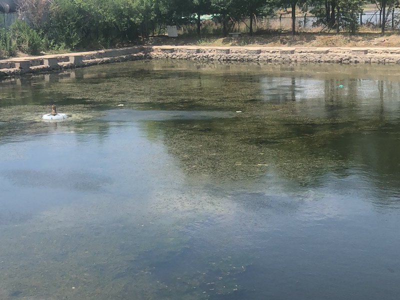 水乡垂钓园钓点与钓场环境照片