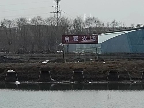 启源农场垂钓园钓点与钓场环境照片