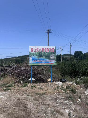 通山悠小野塘垂钓园钓点与钓场环境照片